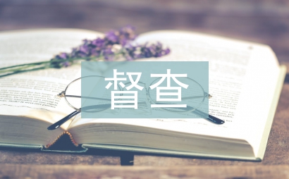 城管執法局對紀檢督查工作調研