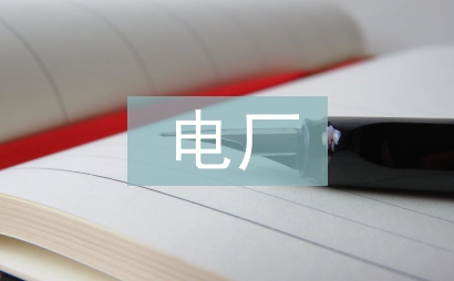 電廠鍋爐監理工作總結
