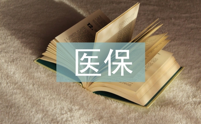 醫保會計工作計劃