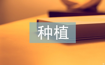 碗蓮的種植方法