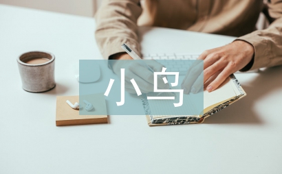 小鳥教案