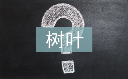 中班樹葉教案