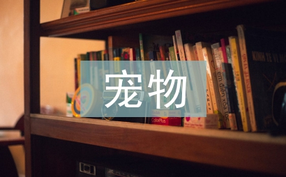 寵物助理總結