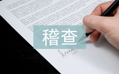 稽查中隊工作計劃