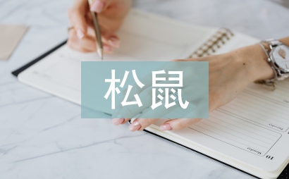松鼠教學設計