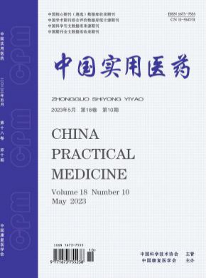中國實(shí)用醫(yī)藥