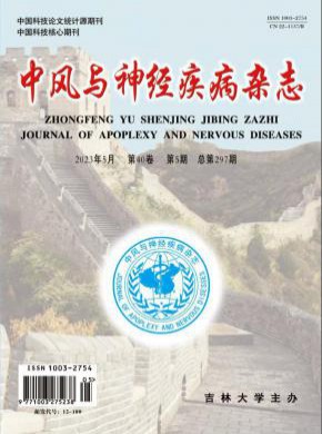 中風(fēng)與神經(jīng)疾病