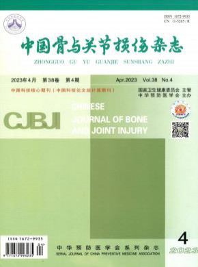 中國骨與關(guān)節(jié)損傷