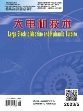 大電機(jī)技術(shù)
